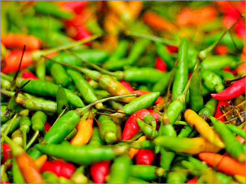 Fresh Bird's Eye Chili