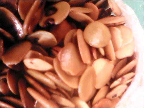 Garcinia Seed