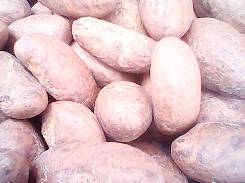 High Quality Bitter Kola