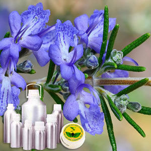 Wildcrafted Rosemary Oil