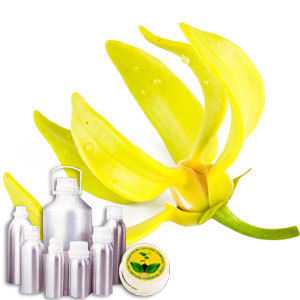 Wildcrafted Ylang Ylang Oil