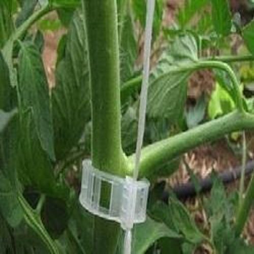 Trellising Accessories