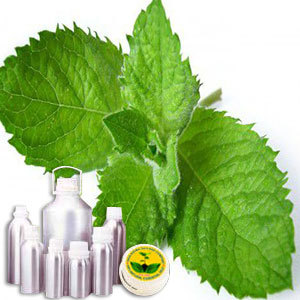 Liqued Menthol (Peppermint Oil By INDIA AROMA OILS AND COMPANY