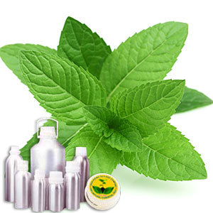 Mentha Piperata Oil (Oil Peppermint EX pipe By INDIA AROMA OILS AND COMPANY