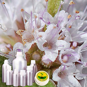 Menthol Fine Flakes By INDIA AROMA OILS AND COMPANY