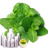 Mint Terpenes Crude - Mentha Arvensis Extract, Clear To Pale Yellow Liquid, 99% Purity | Natural Minty Aroma, Steam Distilled, Food And Fragrance Grade