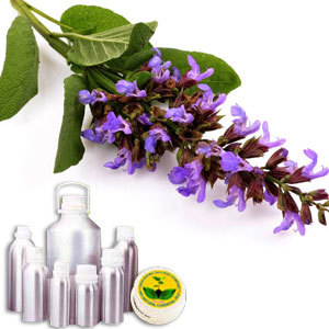 Clary Sage Therapeutic Grade Oil By INDIA AROMA OILS AND COMPANY