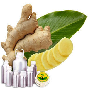 Ginger Therapeutic Grade Oil