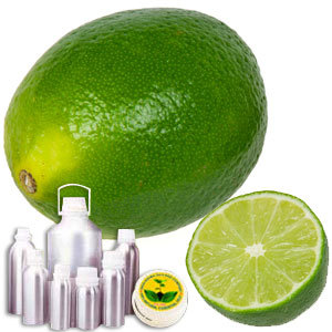 Lime Therapeutic Grade Oil