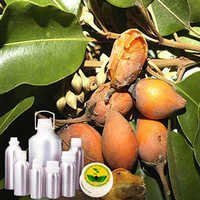 Bakul Attar - Mimusops Elengi Extract, Creamy White Color | Floral Fragrance, Soluble In Alcohol & Oil, Floral Ceremony Use