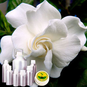 Gardenia Perfume Oil By INDIA AROMA OILS AND COMPANY