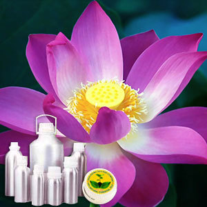 Lotus Perfume Oil