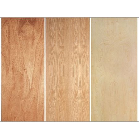 Hardwood Flush Door
