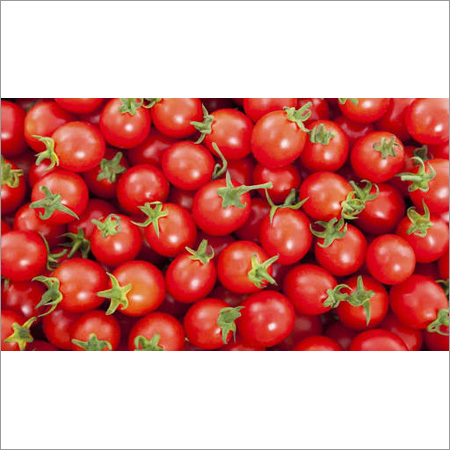 Fresh Farm Tomato