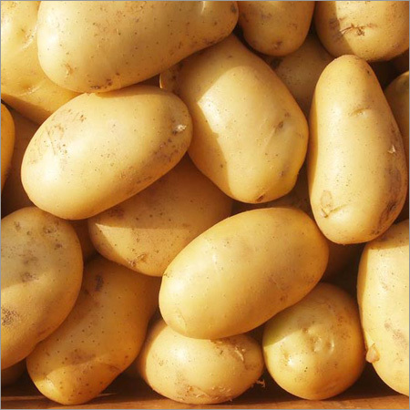 Fresh Potato