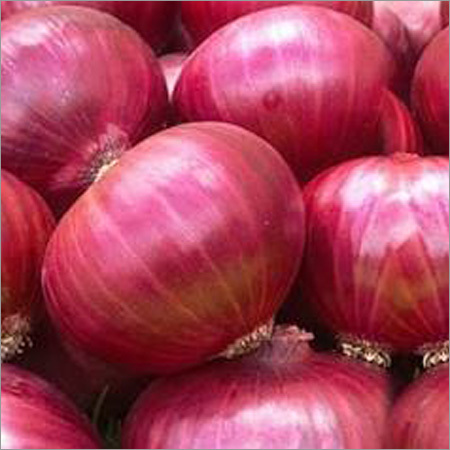 Red Onion