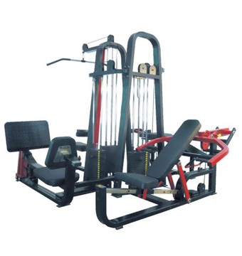 Multi Station Gym