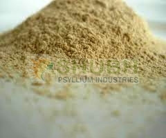 Khakha Powder Grade: Food Grade