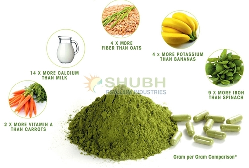 Moringa Leaf Powder Grade: A