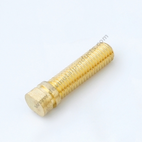 Brass Round Head Bolt