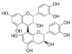 Procyanidin B1