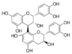 Procyanidin B1