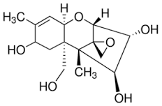 Trichothecene Mix solution