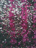 Sequin Fabric