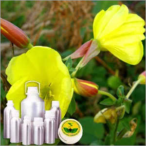 Evening Primrose Carrier Oil By INDIA AROMA OILS AND COMPANY