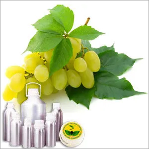 Grapeseed Carrier Oil By INDIA AROMA OILS AND COMPANY
