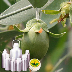 Jojoba Carrier Oil