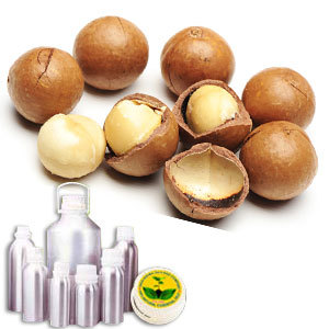 Macadamia Carrier Oil By INDIA AROMA OILS AND COMPANY