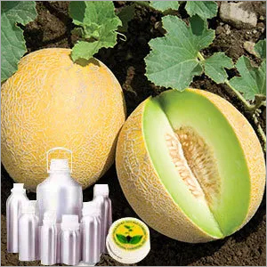 Musk Melon Oil By INDIA AROMA OILS AND COMPANY