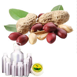 Peanut Carrier Oil By INDIA AROMA OILS AND COMPANY