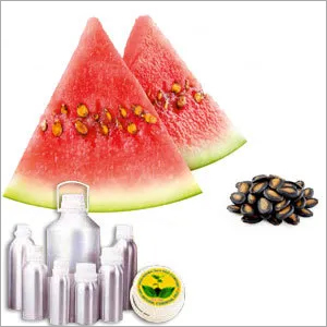 Water Melon Oil