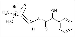 Homatropine methylbromide