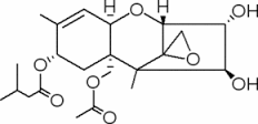 HT-2 Toxin solution