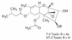 HT-2 Toxin-13C22 solution