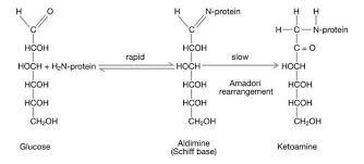 Human haemolysate [glycated haemoglobin (HbA1c)]