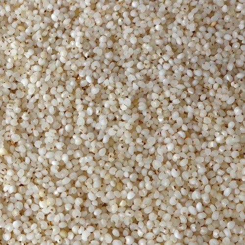 Barnyard Millet (Kuthirai Vaali) Admixture (%): <1