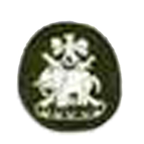 Green Color Thread Embroidery Designer Brooch