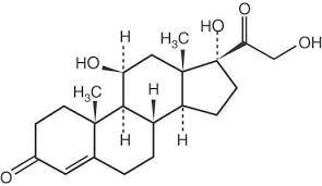 Hydrocortisone