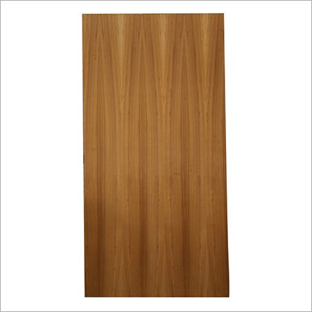 Commercial Flushdoor