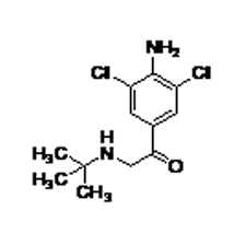 Hymecromone impurity B