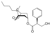 Hyoscine Butylbromide Cas No: 149-64-4