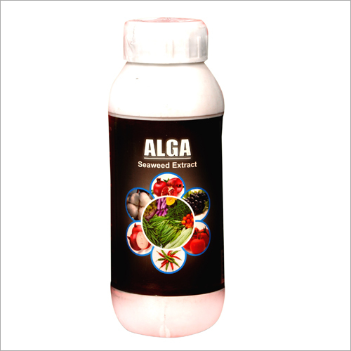 Alga Seaweed Extracts