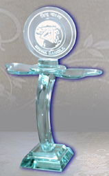 Excellence Award