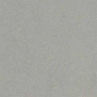 Grey Sand Stone