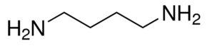 Putrescine (C4H12N2)