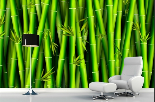 Designer Wallpaper Usage: Decoration